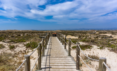 path to the sea