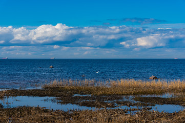 On the shore of the Gulf of Finland in early spring on a clear sunny day. Spring on the bay. South coast of the Gulf of Finland Baltic Sea.