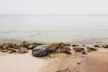 Seascape with gray water, brown stones and green algae on the sandy shore