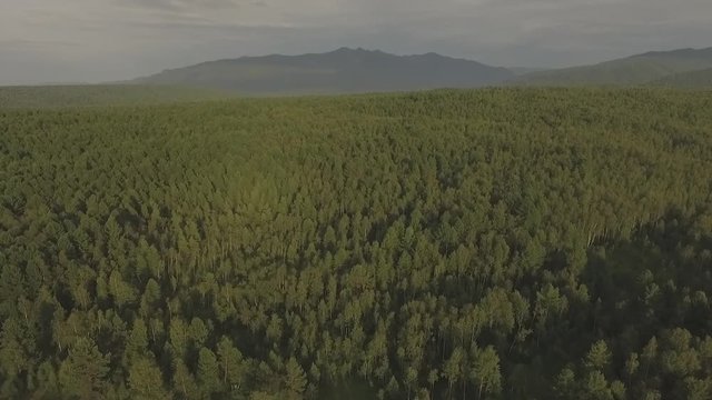 fly ofer the endless siberian forest to mountians
