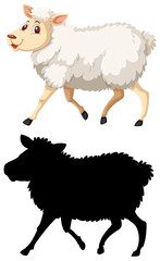 Colorful and silhoutte sheep