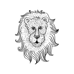 Ethnic hand drawn head of Lion. 
