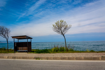 The coast of the Black sea with the small wooden house for selling and trees