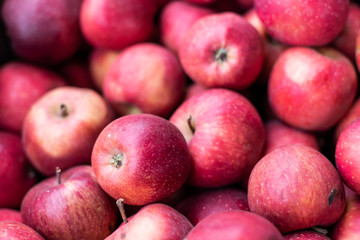 Closeup of many red delicious apples in box at farmer's market shop store showing detail and texture in Virginia orchard farm