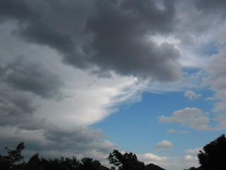 Awaiting the rain