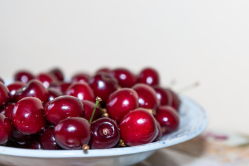 Macro side closeup of red bright vibrant washed sour cherries on white plate in home table during summer season with stems