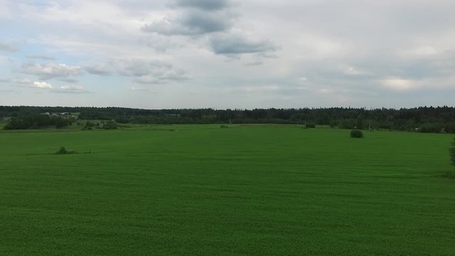 fly ofer the green spring field of  grass and three