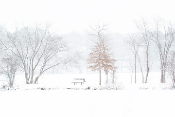 Fototapeta na wymiar Snowing at the lake in winter