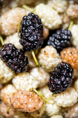 Macro vertical closeup of many ripe black and white mulberries berries healthy sweet fruit showing pattern detail and texture