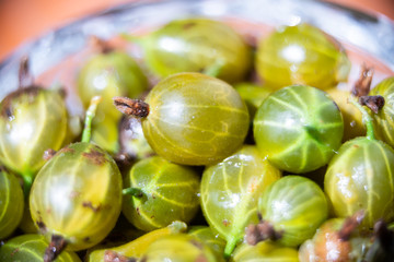 Macro closeup of many ripe large gooseberries berries healthy sour fruit in bowl showing detail and texture with plump yellow and green color