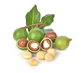 Macadamia nuts on white background