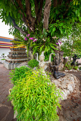 Fototapeta na wymiar Garden in Wat Pho Buddhist Temple, Bangkok, Thailand