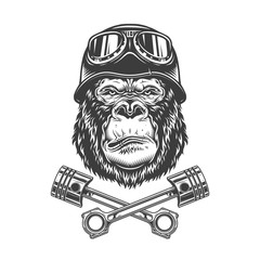 Vintage monochrome serious gorilla head