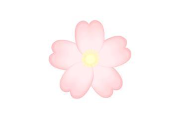 Fototapeta na wymiar Cherry blossom illustration　桜の花のイラスト
