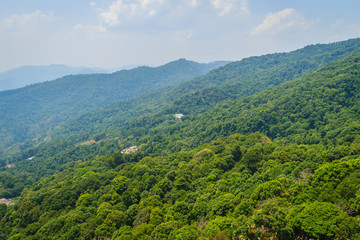 Fototapeta na wymiar Green mountain view at Doi Suthep-Pui National Park, Chiang Mai, Thailand. Forests in the park consists of evergreen forest on higher altitudes above 1000 meters and mixed deciduous-evergreen forest.