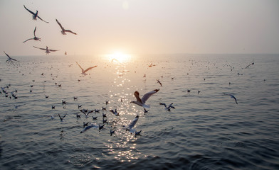 relax landscape sunset of horisental