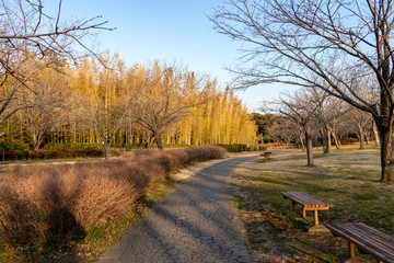 Aoba no Mori Park in Chiba City, Chiba Prefecture, Japan