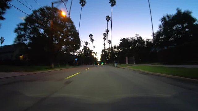 Dawn driving view of tall palm trees in the Altadena neighborhood in Los Angeles County California.