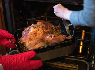 Festive turkey being basted in the oven with red oven mitts