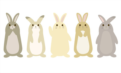 かわいいウサちゃん