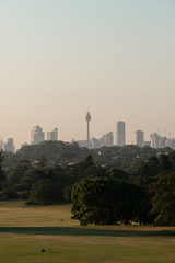 Fototapeta na wymiar Sydney skyline under the sunset light behind a park.