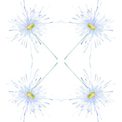 Abstract watercolor illustration of chamomiles . Isolated on white background.Seamless pattern