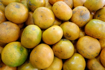 fresh oranges picked from the garden