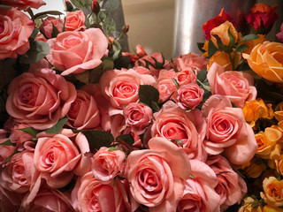 closeup rose flower background yellow red pink colors, group of flower in vintage style background, detail of beautiful group of pink yellow flower and green leaves for decoration background