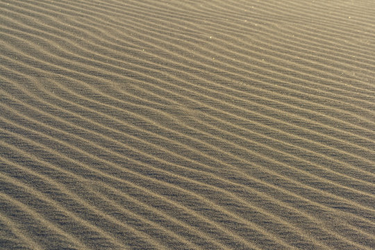 rippled sand texture