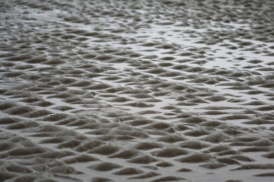 Wet beach sand ripples
