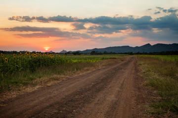 Fototapeta na wymiar country road and sunset sky