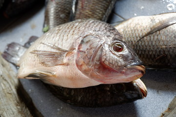 fresh fish sold in traditional markets