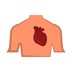 Isolated human hearth in a body. Vector illustration design