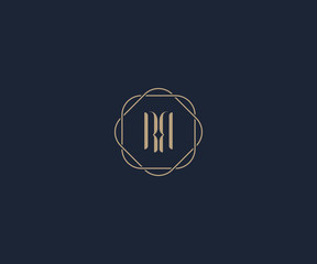 luxury initial letter RR logo design template