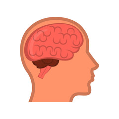 Isolated human brain in a body. Vector illustration design