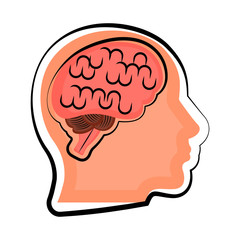 Isolated human brain in a body. Colored sketch. Vector illustration design
