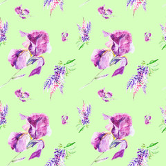 Watercolor illustration Botanical lupines and iris flowers isolated on green background. Seamless pattern