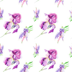 Watercolor illustration Botanical lupines and iris flowers isolated on white background. Seamless pattern