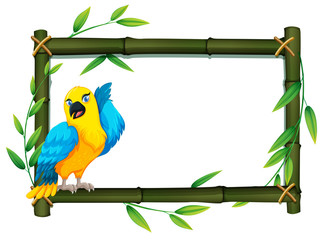 Beautiful parrot nature frame