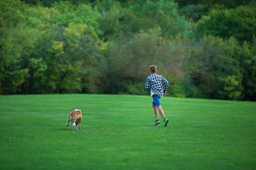 Little boy teenager with his dog bulldog in park on a sunny day on green grass park land enjoy life together with his friend