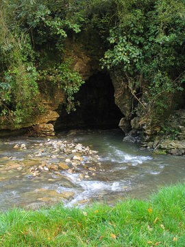 Waitomo caves. New Zealand