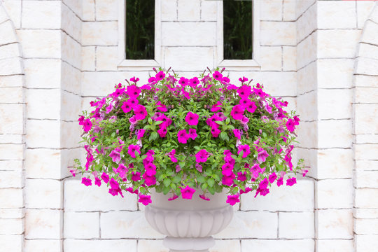 Flower On Roman Flower Pot Decorative At Brick Wall