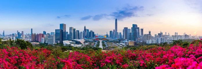 Afwasbaar behang Chicago Shenzhen Futian District City Scenery
