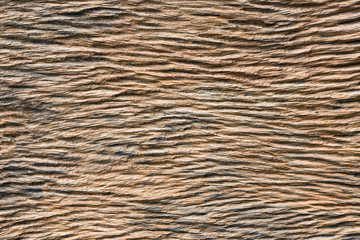 Pattern and texture of the wood for the background.