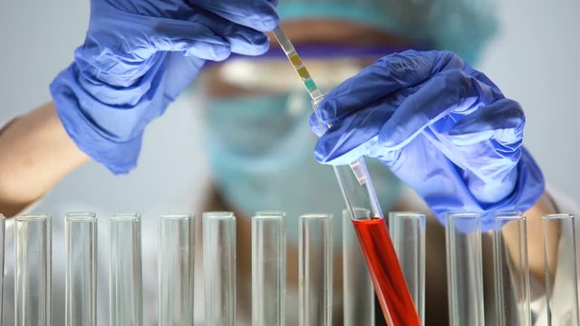 Researcher measuring pH level in red liquid substance with litmus paper, test