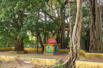 colored hindu temple under a green banyan tree