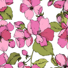 Vector Pink Apple blossom floral botanical flower. Engraved ink art. Seamless background pattern.