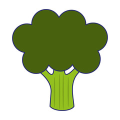 Broccoli vegetable food blue lines