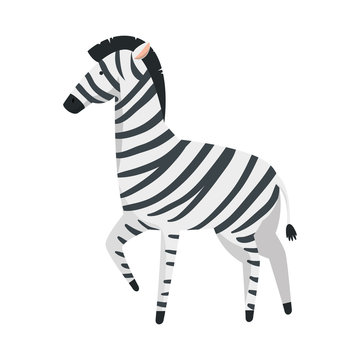 african zebra wild character