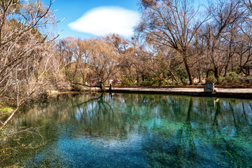 Reflections of trees in a clear river